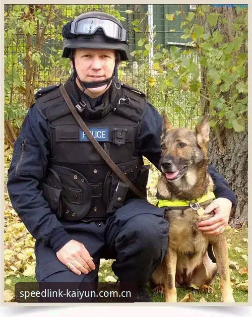 为什么英国只派3名警员赴美？从kaiyun体育官网看世界杯安保协作的转向